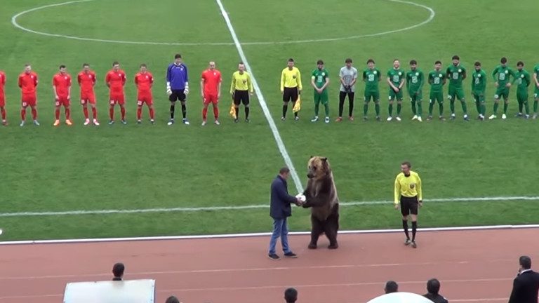 Видео: Мечка даде началото на мач в Русия!