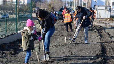 Засадиха 120 фиданки по бул. „Трети март“ и „Сливница“ във Варна