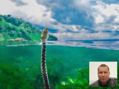 Варненец спечели световен конкурс за подводна фотография