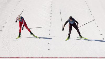 Куче или вълк – животното, което се включи в Зимните олимпийски игри 2026